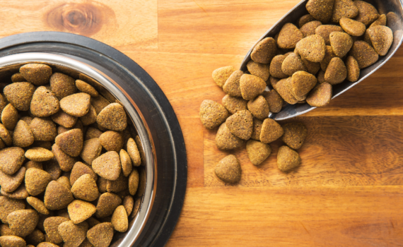 Croquettes chien sans céréales