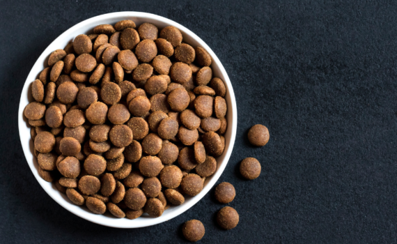 Croquettes pour chat sans céréales
