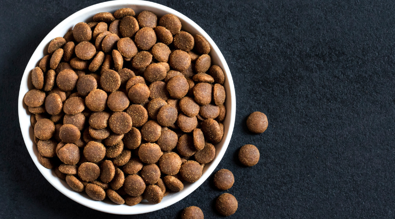 Croquettes pour chat sans céréales